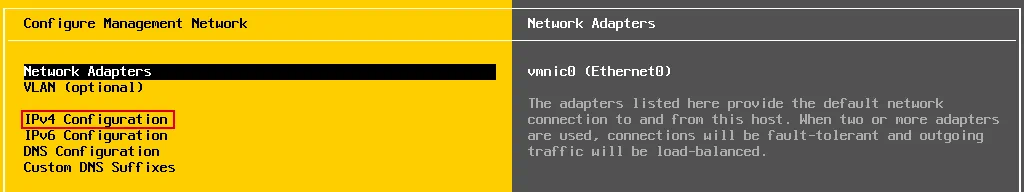 IPv4 Configuration of the network adapter used by an ESXi Server.