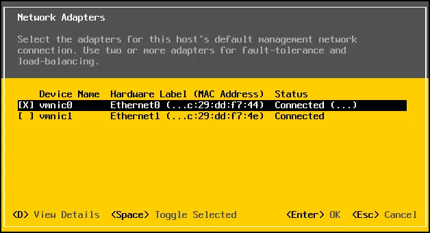 The network adapters available for an ESXi host.