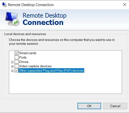 Other supported Plug and Play devices (Hyper-V USB Passthrough)