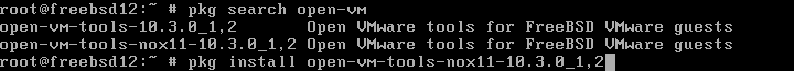 How to install VMware Tools on FreeBSD – searching packages