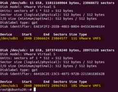 What Are the Features of a VMFS File System?