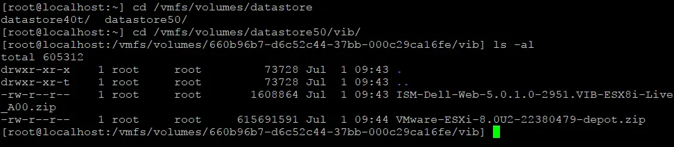 Va a un directorio con un archivo zip que contiene el archivo VIB