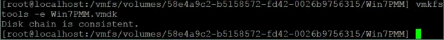 Checking the virtual disk consistency after editing the descriptor