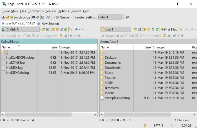 The main window of WinSCP