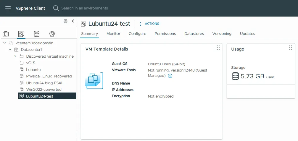 The template is displayed in the VMs and Templates section